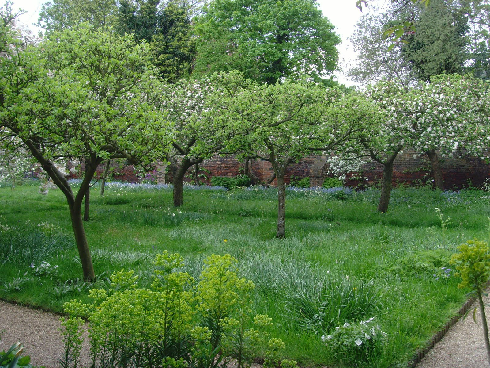 The orchard